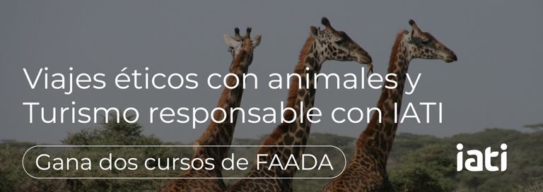 Curso Turismo responsable FAADA IATI