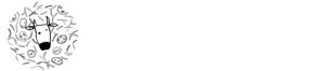 Fundacion-iO